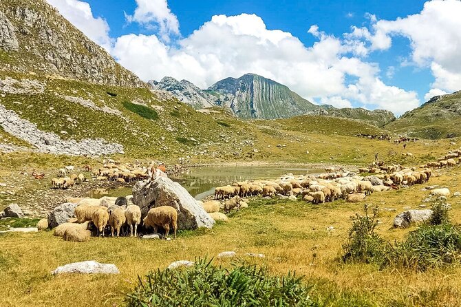 1-Day Montenegro Hiking Tour to Durmitor National Park - Pava and the small-group advantage: why this tour feels safer and more human