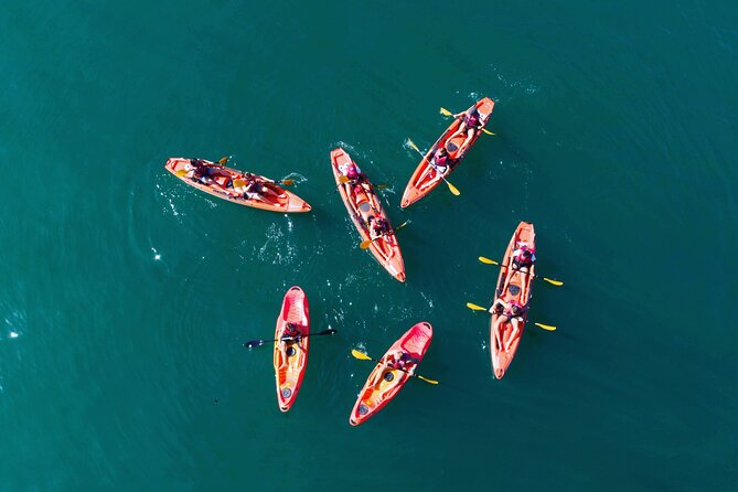 3 Hours Kayaking in Kotor Bay in Montenegro - Key Highlights You’ll Feel on the Water