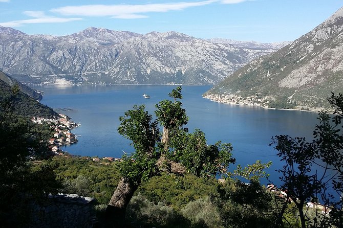 Bike & hike tour - Entering Kotor Bay by bicycle, not by bus