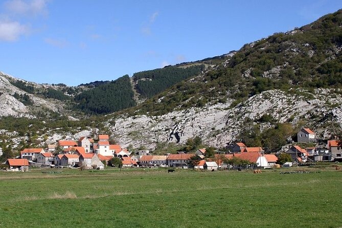 Bike tour - Panoramic downhill from Njeguši and Kotor serpentines - Njegoš II birthplace and traditional ham production (a quick but meaningful stop)