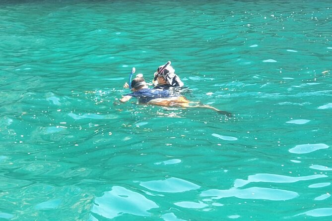 Blue Cave, Lady of Rocks , Perast and Mamula Speedboattour MW - Key highlights worth knowing