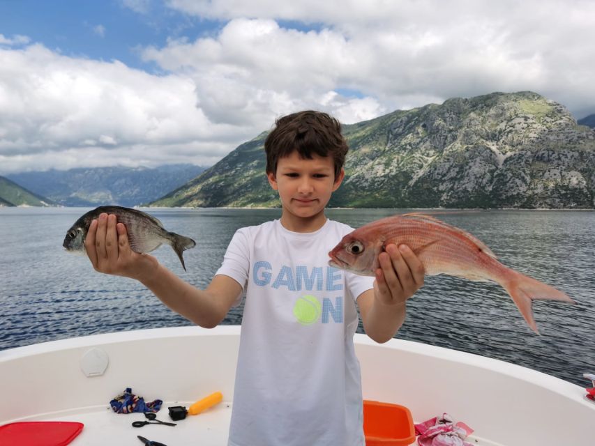 From Bay of Kotor: Blue Cave Private Speedboat Tour - Price and value: $483 for up to 6 people