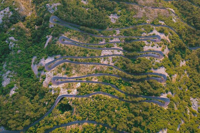 Great Montenegro Tour-Lovcen NP,Mausoleum Lovcen,River of Crnojevic,Sveti Stefan - Crnojević River boat ride to Skadar Lake territory: slow time, birds, and lily pads