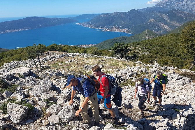 Hiking Vrmac peninsula with panoramic view on Kotor bay - Price and value: what $114.48 buys you