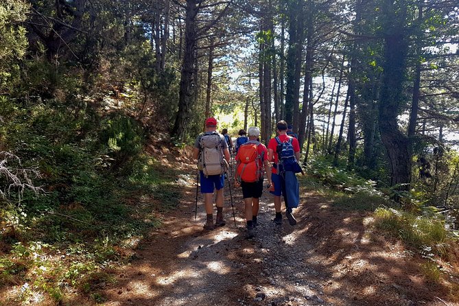 Hiking Vrmac peninsula with panoramic view on Kotor bay - Who should book this Vrmac hike (and who should reconsider)