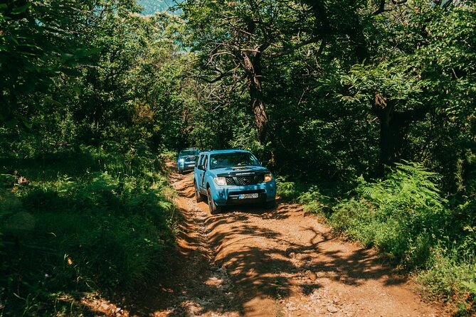 Kotor Jeep Tour: Hidden Stone Village & Food Tasting - From Kotor Port to Donji Stoliv: a scenic start that sets the tone