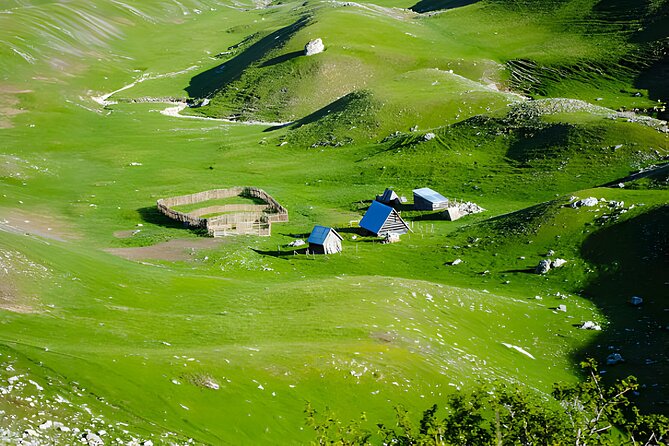 Kotor-Njegusi-Lovcen Tour - Why this Kotor to Lovćen day trip beats DIY driving