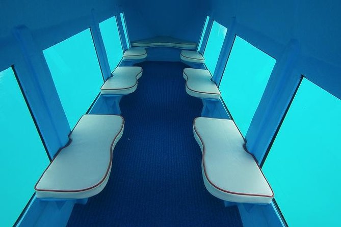 Kotor Red Semi-Submarine Tour: Underwater Cabin Family Adventure - Your Best Day to Go: Morning vs Afternoon Reality