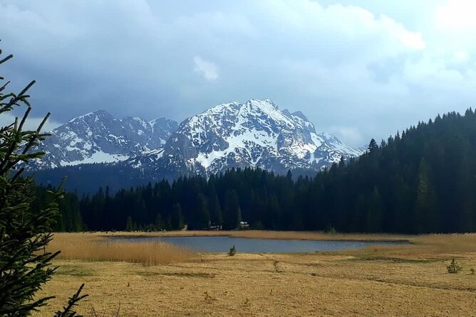 Kotor Tour to Durmitor - Black Lake & Tara River Bridge - Price and Value: What $306.82 Buys You on a Long Private Day