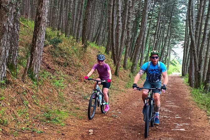 Mountain Biking on Vrmac peninsula - Panoramic view on Kotor bay - Vrmac Peninsula mountain biking: why this route works so well