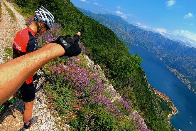 Mountain Biking on Vrmac peninsula - Panoramic view on Kotor bay - Price and value: what $113.18 buys you in the real world