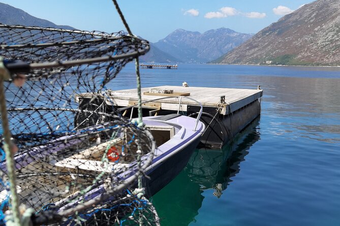 Mussel & Oyster Farm with Perast visitation Private Tour - Price and Value: What $698.97 Really Buys for Up to 4