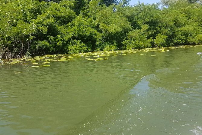 National park Skadar Lake (Private tour) - Who this private Skadar Lake tour is best for