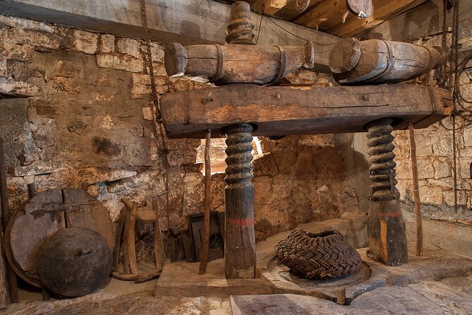 Olive oil farm to fork experience & short walking tour of Kotor - On the Estate: Meeting the Family and Walking Between Olive Trees