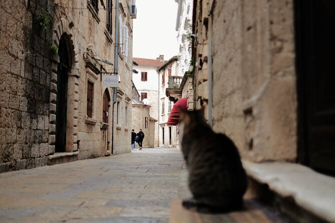 Port of Kotor - Kotor-Perast-Our lady of the rocks private tour - Our Lady of the Rocks: the boat ride and why it matters