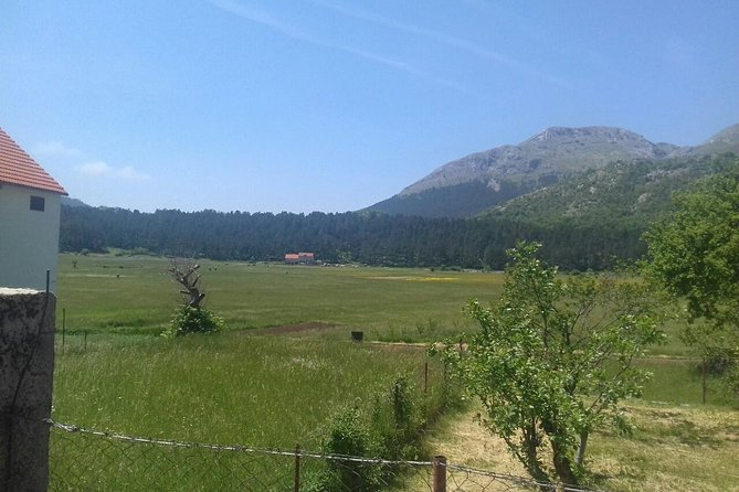 Private National Park Lovcen with food and wine tasting - What to bring: shoes, patience, and how to handle the stairs