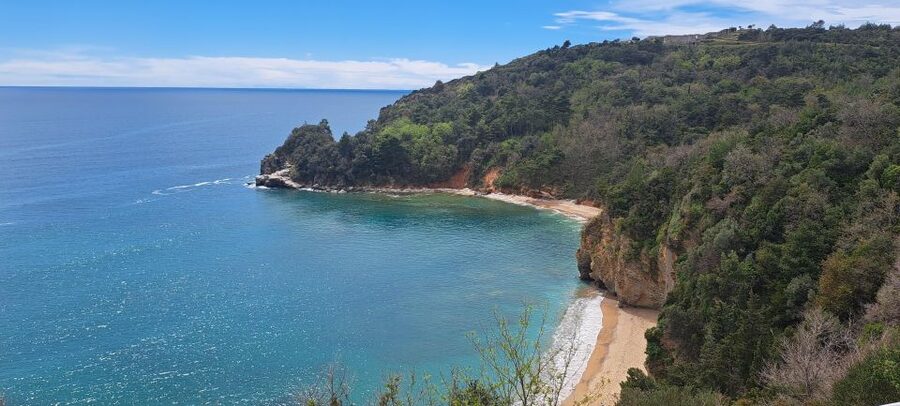 Private Tour: Montenegro Day Trip from Dubrovnik - Practical Tips to Make the Day Feel Easier