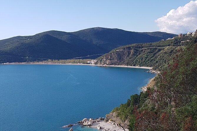 Private Transfer from Budva to Podgorica Airport and city - Pickup in Budva: Getting Set With the Right Details