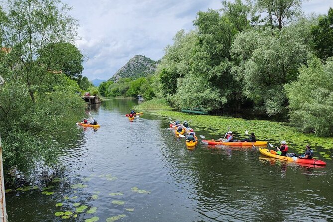 Skadar Lake on kayaks Experience with Spectacular Views - Price and what you actually get for $47