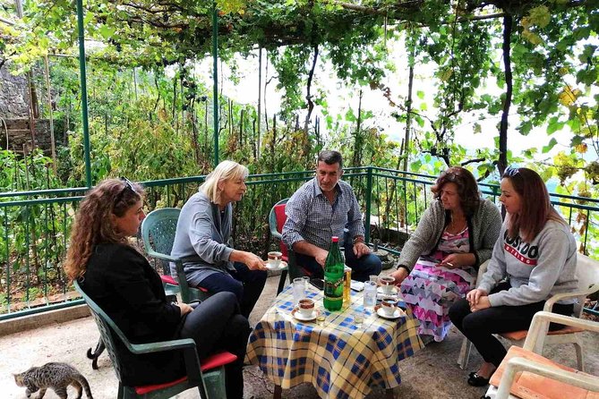 Unique gastro experience with locals in high hills above Budva! - Key highlights worth prioritizing