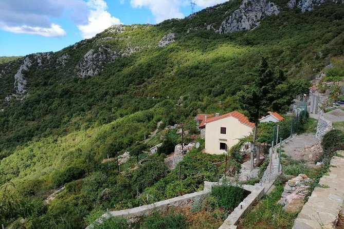 Unique gastro experience with locals in high hills above Budva! - Entering the Hill Country Above Budva (Without the Stress)